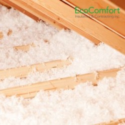 The Role of Attic Ventilation and Insulation in Mold Prevention